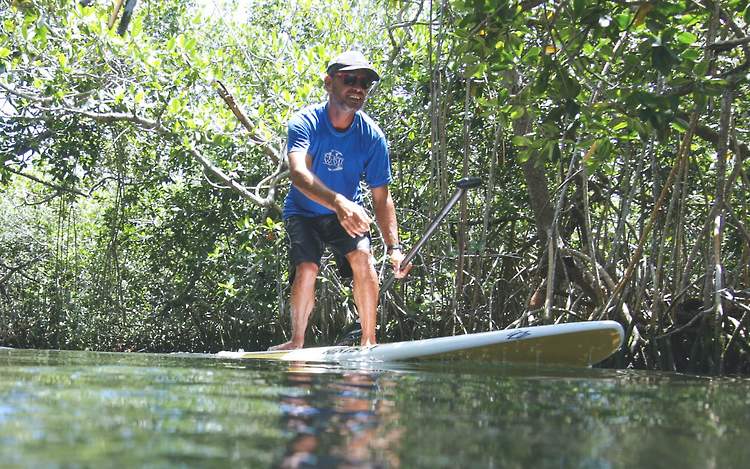 Experience Mangroves