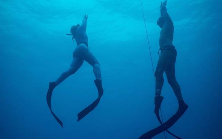 Experience Freediving